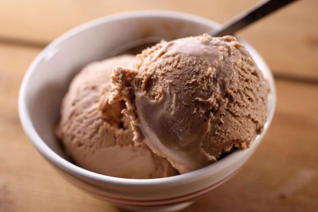 Chocolate Coconut Milk Ice Cream